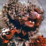 Hilariously Horrific: 10 Ridiculous Horror Movie Deaths