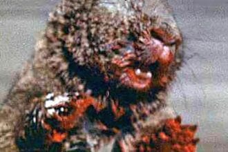 Hilariously Horrific: 10 Ridiculous Horror Movie Deaths