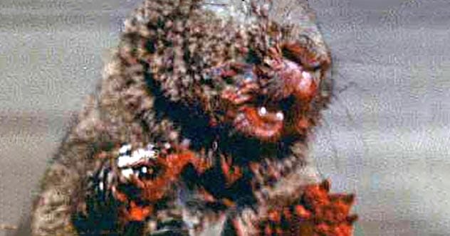 Hilariously Horrific: 10 Ridiculous Horror Movie Deaths