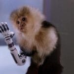 Top 10 Outlandish Animal Science Experiments