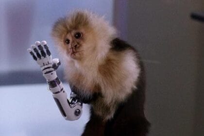 Top 10 Outlandish Animal Science Experiments