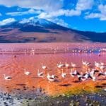 Nature's Top 10 Craziest Mass-Scale Events!