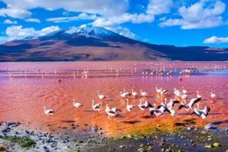 Nature's Top 10 Craziest Mass-Scale Events!