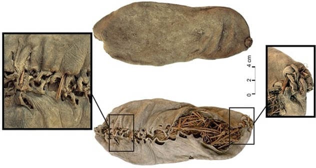 Oldest Shoe Ever Found