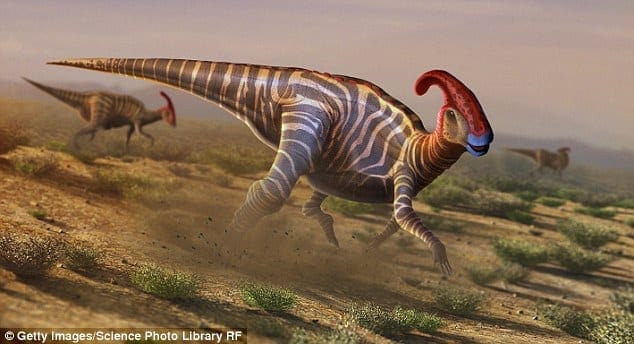 Hadrosaur skin fossil