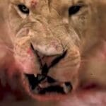 Movie Mayhem: 10 Horrific On-Set Accidents