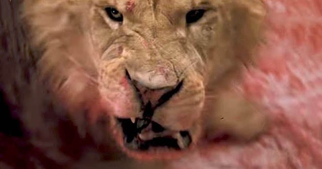 Movie Mayhem: 10 Horrific On-Set Accidents