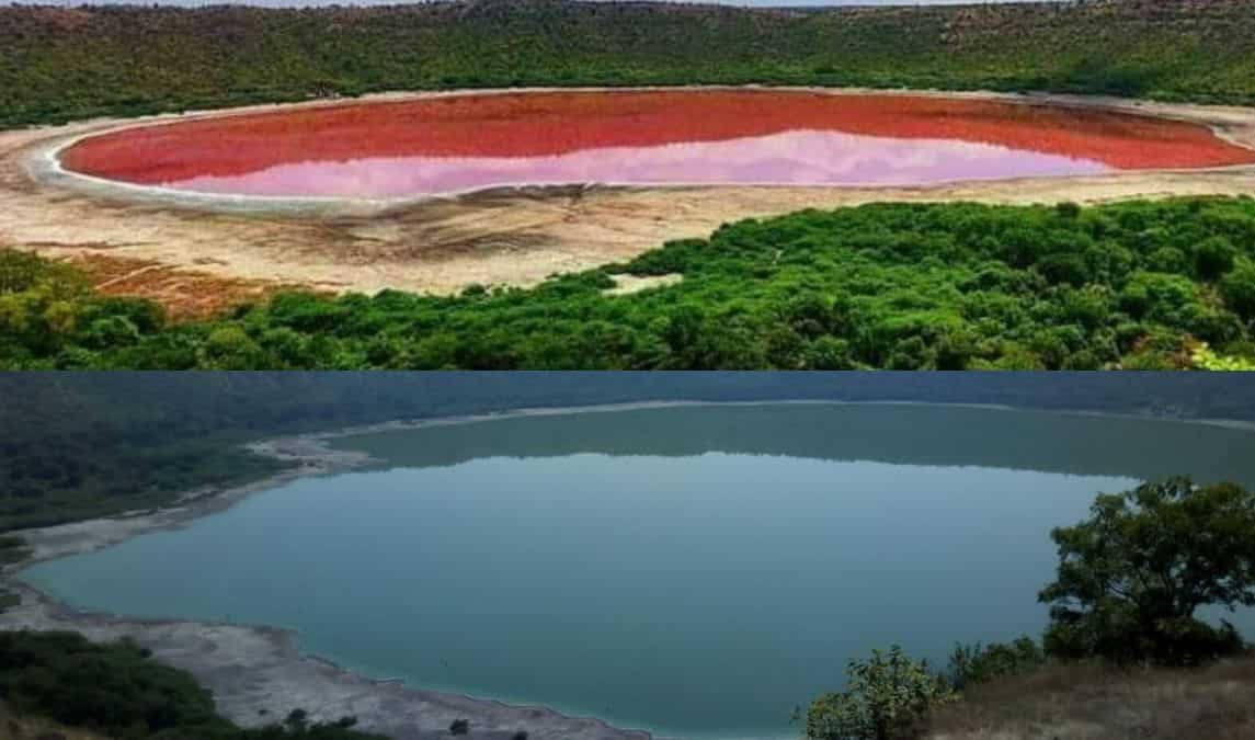 Lonar Lake turned pink