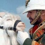 Top 10 Animals That Received High Honors