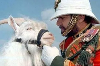 Top 10 Animals That Received High Honors