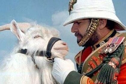 Top 10 Animals That Received High Honors