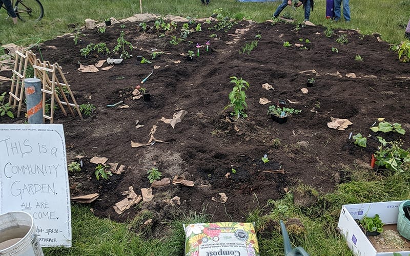 Community Garden in CHAZ