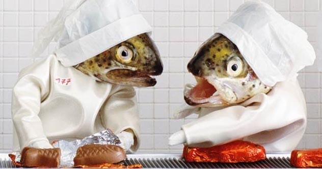 Fish Head Art