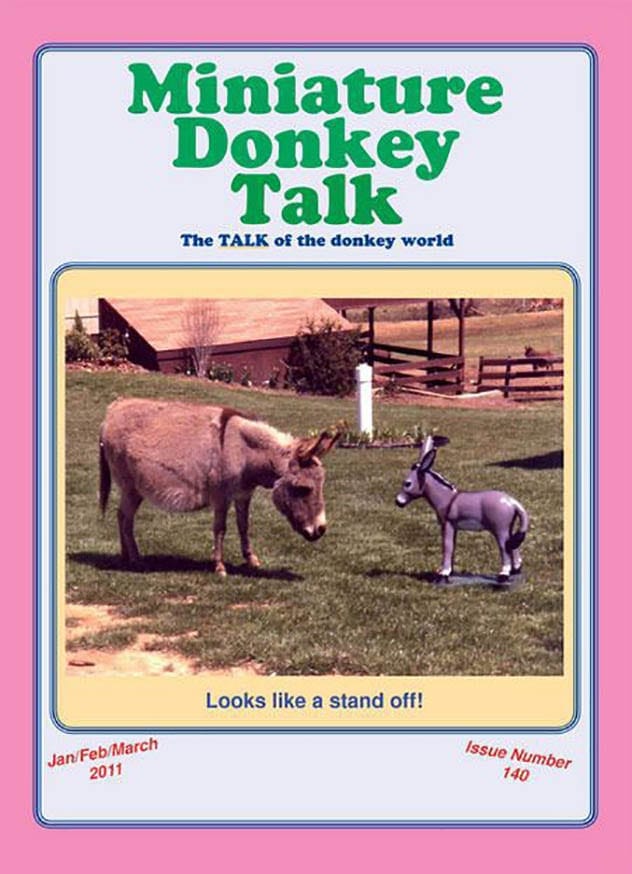 Miniature Donkey Talk Magazine