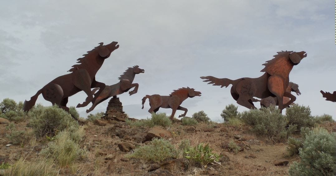 Grandfather Cuts Loose the Ponies