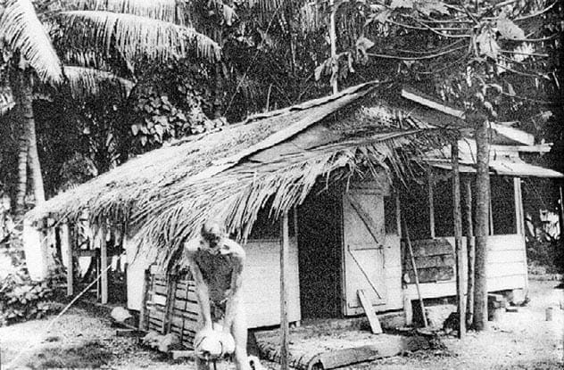 Tom Neale on his island