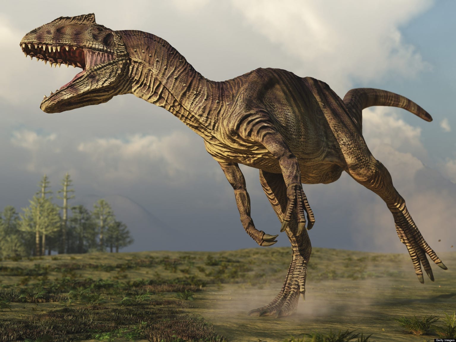 Allosaurus cannibalism