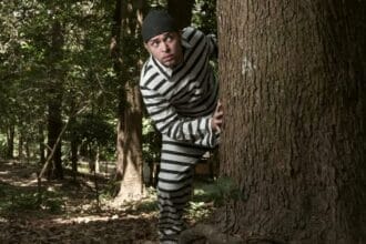 Jailbreak Fails: Top 10 Prison Escape Mishaps