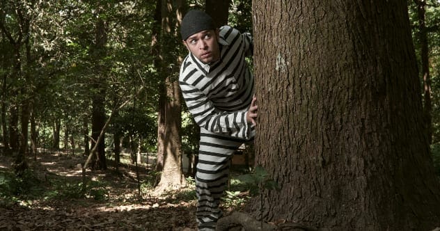 Jailbreak Fails: Top 10 Prison Escape Mishaps