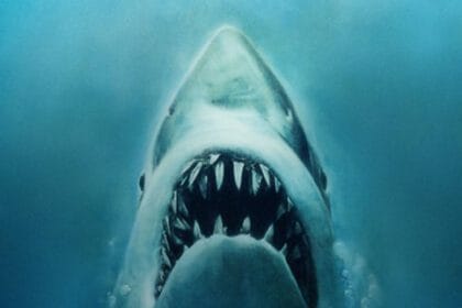10 Films That Were Saved in the Editing Room