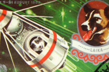 Soviet Space Dogs: 10 Brave Paws That Touched the Stars