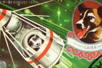 Soviet Space Dogs: 10 Brave Paws That Touched the Stars