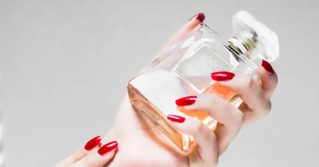 Shocking Animal By-Products in 10 Everyday Items You Use