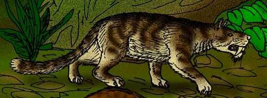 Machaeroides Eothen, an early sabertooth mammal reconstruction