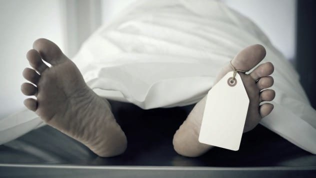 morgue fridge