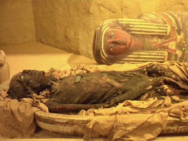mummy remains