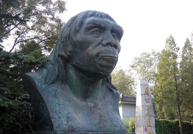 Reconstruction of Peking Man based on the lost fossils