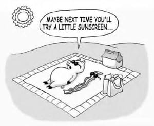 Sunscreen protection