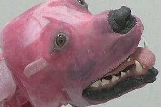 10 Odd Facts About Synthetic Inventions: Some are Revolting!