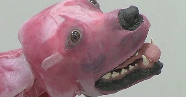 10 Odd Facts About Synthetic Inventions: Some are Revolting!