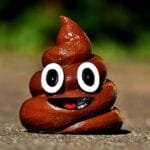 10 Weirdly Fascinating Facts About Poop You Won't Believe