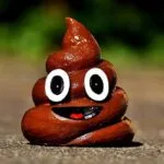 10 Weirdly Fascinating Facts About Poop You Won't Believe