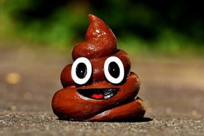 10 Weirdly Fascinating Facts About Poop You Won't Believe