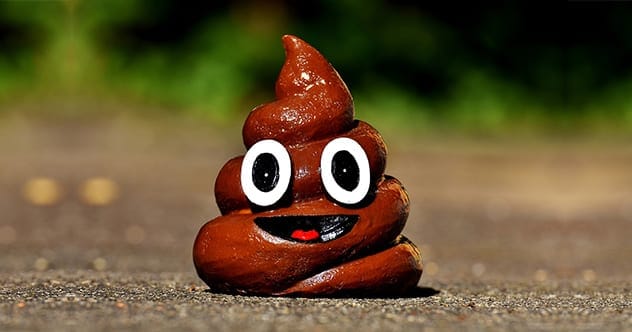 10 Weirdly Fascinating Facts About Poop You Won't Believe
