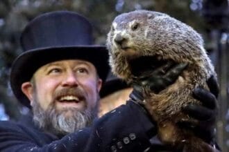 Beyond Phil: 10 Other Weather-Forecasting Groundhogs