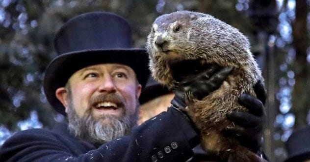Beyond Phil: 10 Other Weather-Forecasting Groundhogs
