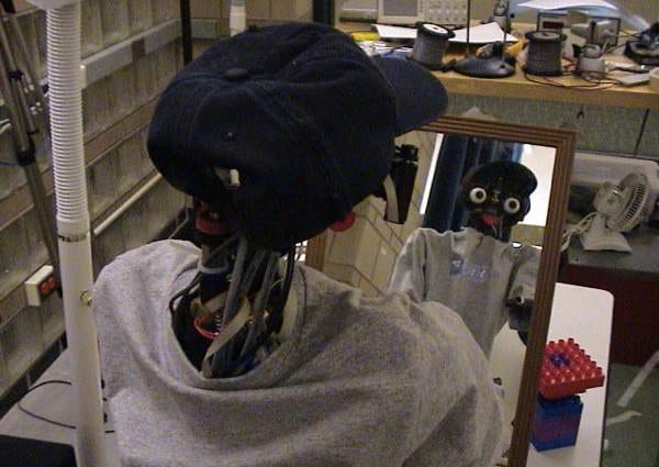 Robot Recognizing Itself in Mirror
