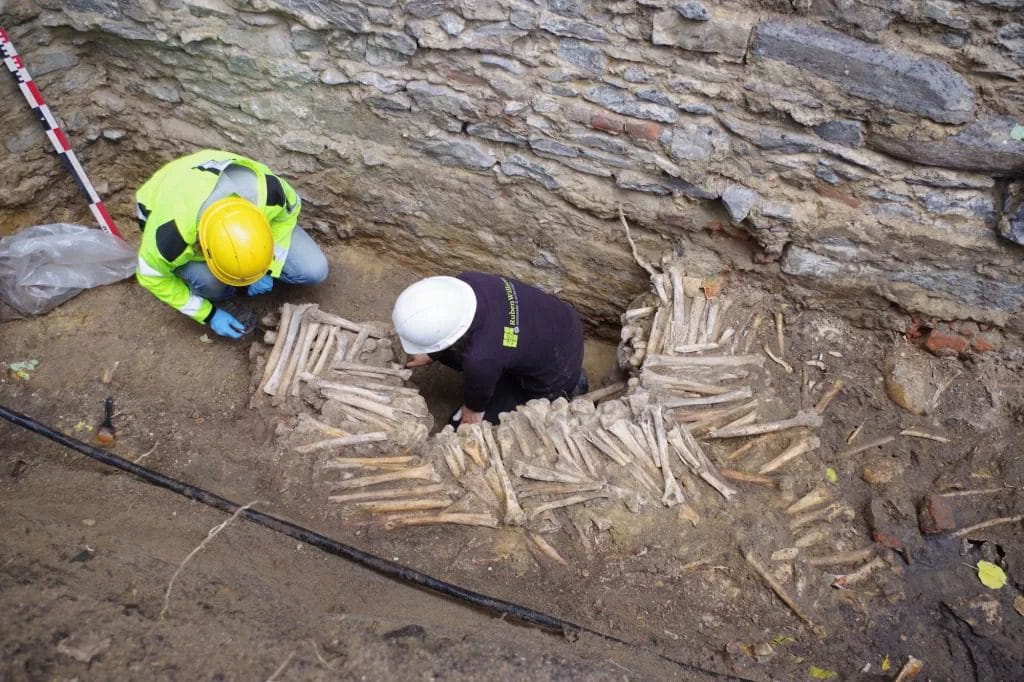 Walls in Belgium constructed by neatly stacking human leg bones
