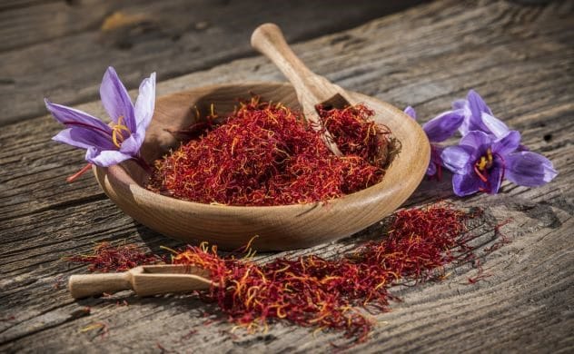 A vibrant pile of red saffron threads, an expensive ancient spice and drug.