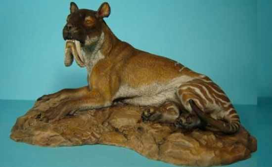 Thylacosmilus, a marsupial with ever-growing saberteeth