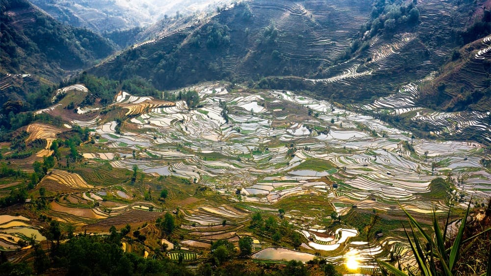 Honghe Hani Rice Terraces, China