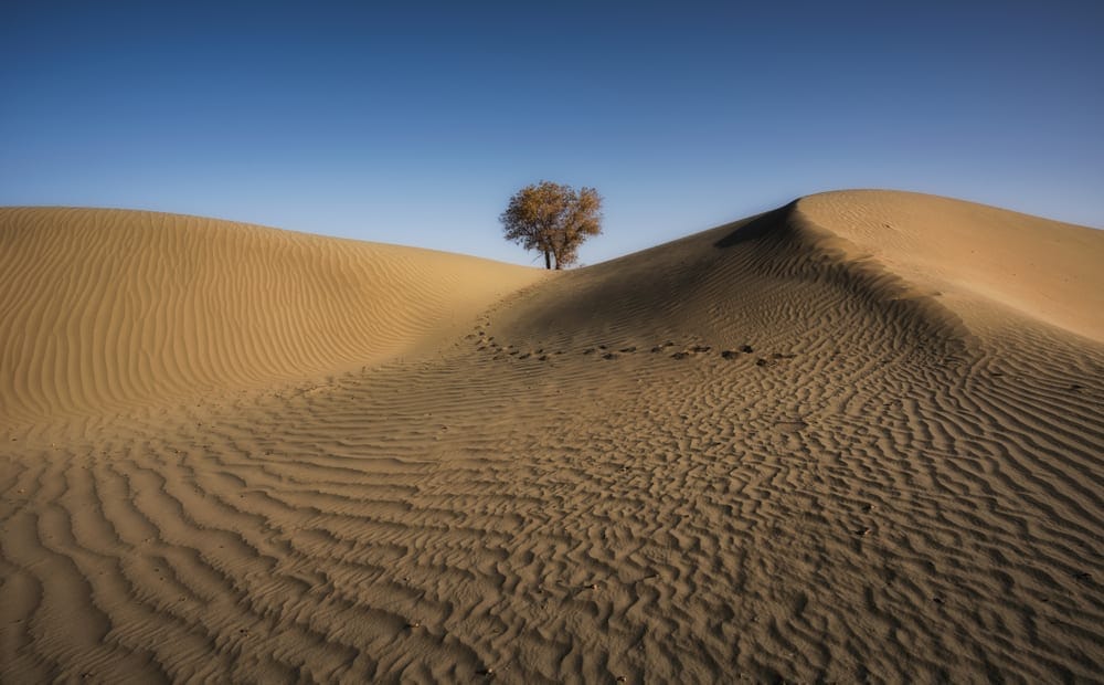Taklamakan Desert