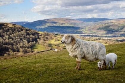 Wales' 10 Spookiest Unsolved Mysteries: Ghosts & Legends