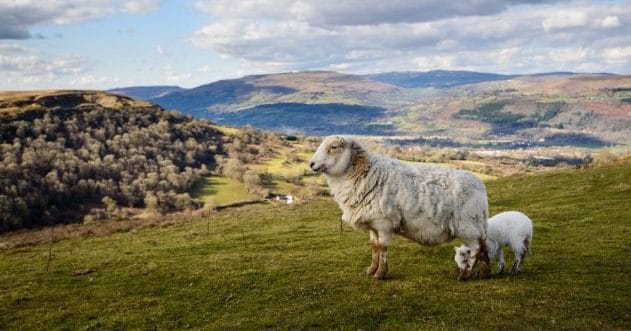 Wales' 10 Spookiest Unsolved Mysteries: Ghosts & Legends