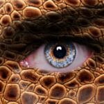 10 Bizarre Body Modifications You Won't Believe Exist!