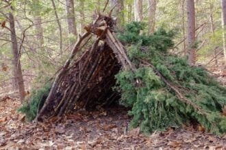 10 Deadly Survival Mistakes You Must Avoid Now